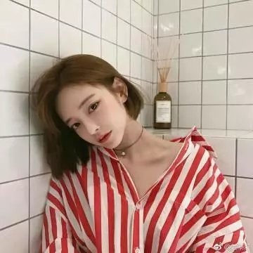 美国兔子的冒险